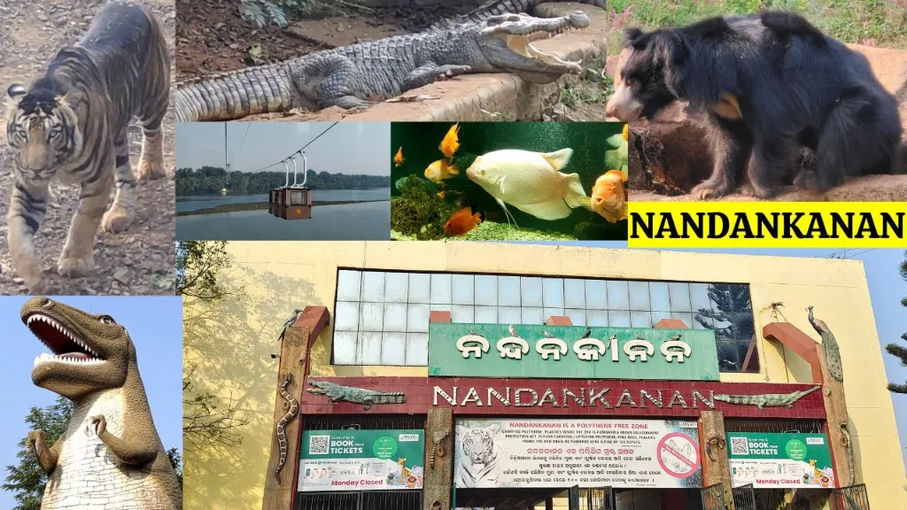 maxresdefault (2).webp