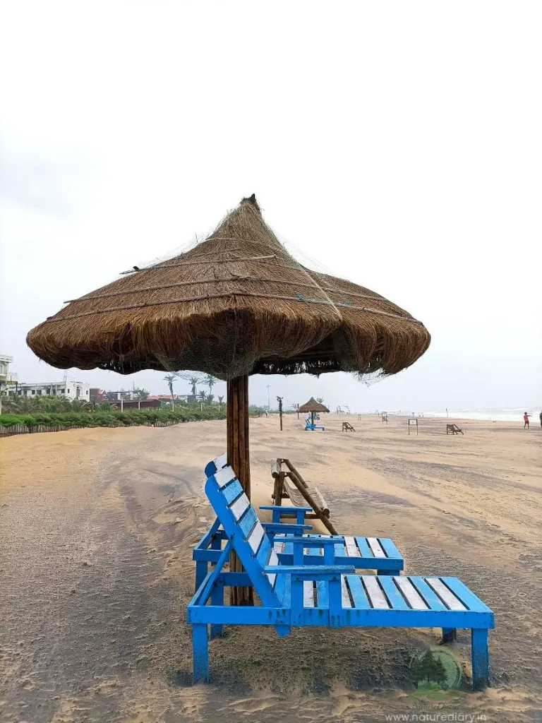 Huts-with-recliner-chairs-at-Puri-Blue-Flag-beach.webp