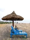 Huts-with-recliner-chairs-at-Puri-Blue-Flag-beach.webp