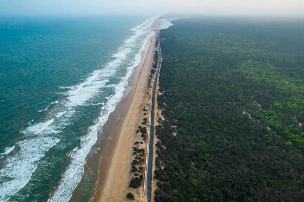 aerial-view-of-sandy-chandrabhaga-beach-along-bay-of-bengal-konark-odisha-india-AAEF33203.webp