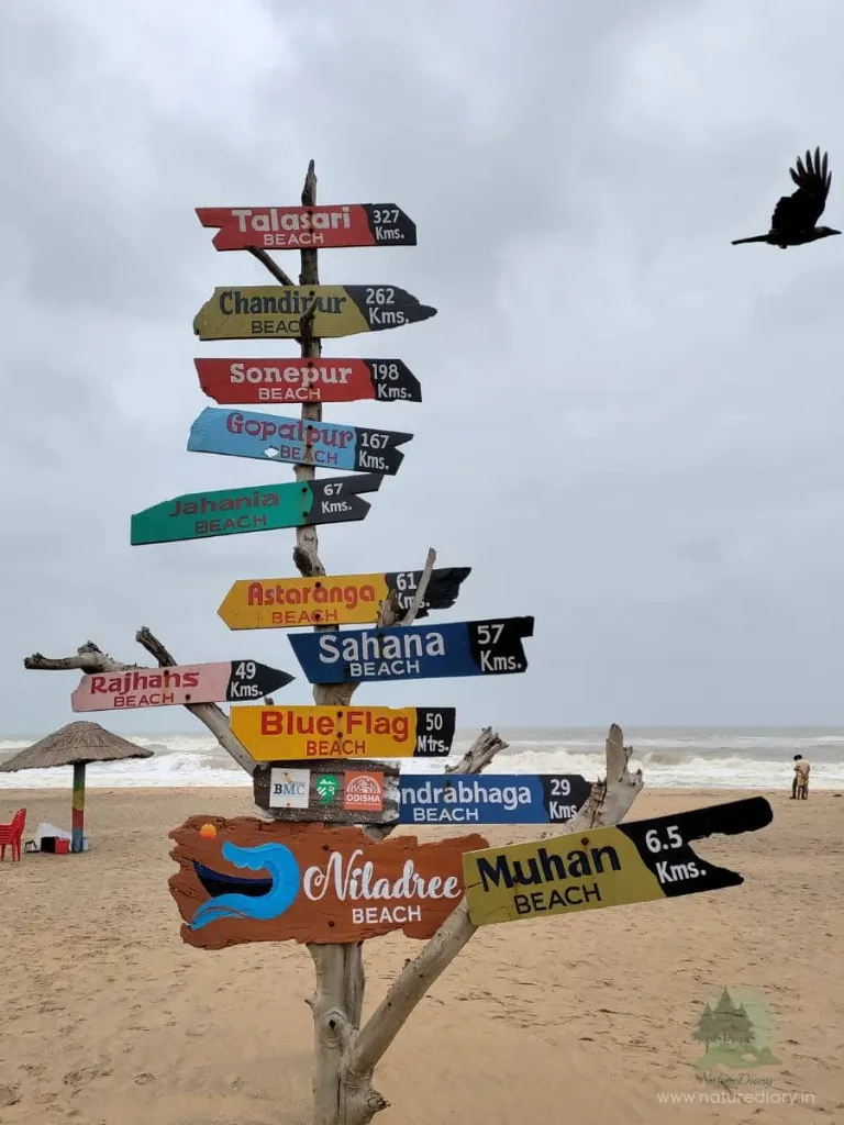 Decorated-signage-for-beaches-near-Niladree-sea-beach.webp